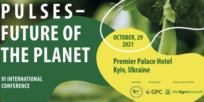Pulses - future of the planet!