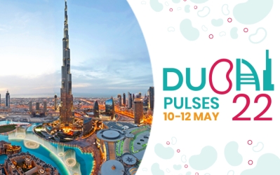Pulses 22: InterContinental, Festival City, Dubai