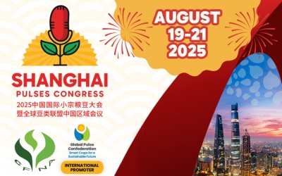 Shanghai Pulses Congress